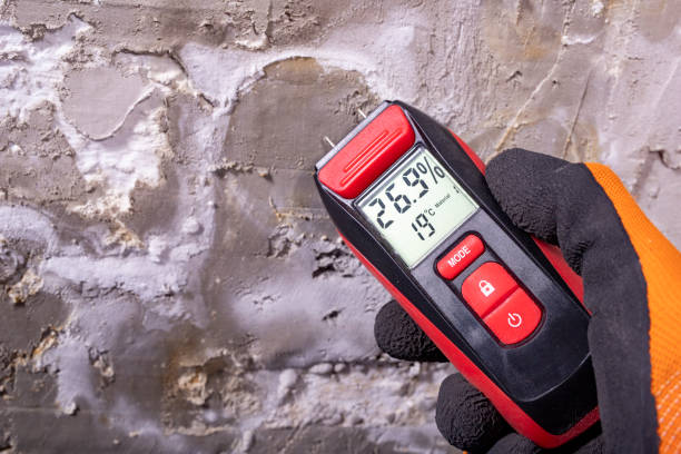 Best Toxic Mold Removal  in Frontenac, MO