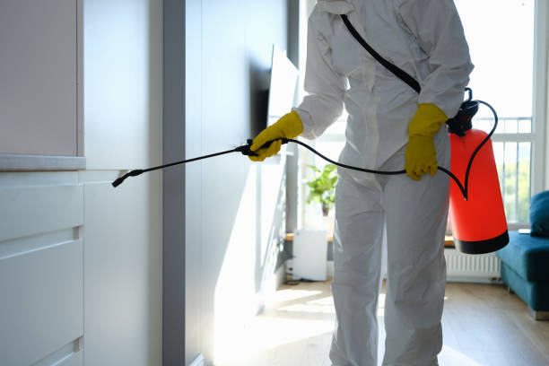 Best Attic Mold Removal  in Frontenac, MO