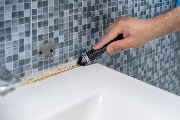 Best Mold Remediation  in Frontenac, MO