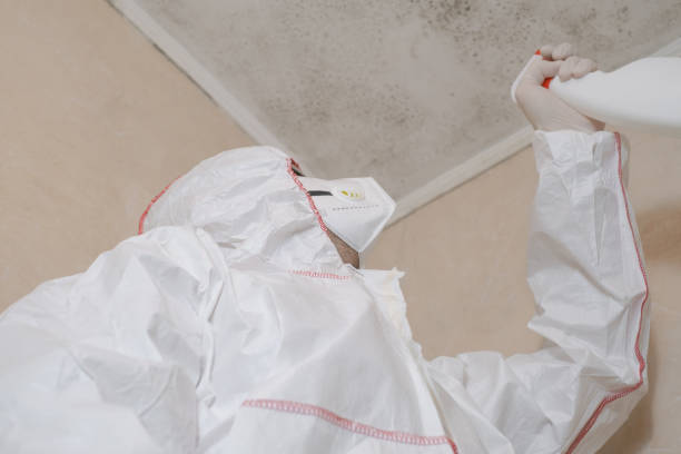 Best Mold Damage Repair  in Frontenac, MO